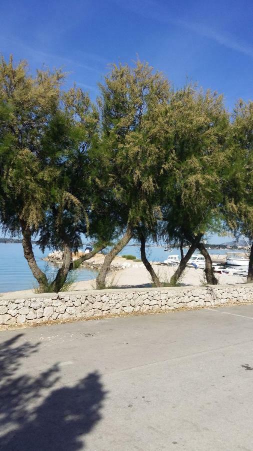 Dalmacia Apartments Srima Dış mekan fotoğraf